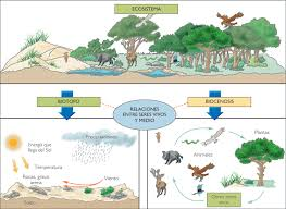 cienciasnaturalesxiomy2024.milaulas.com